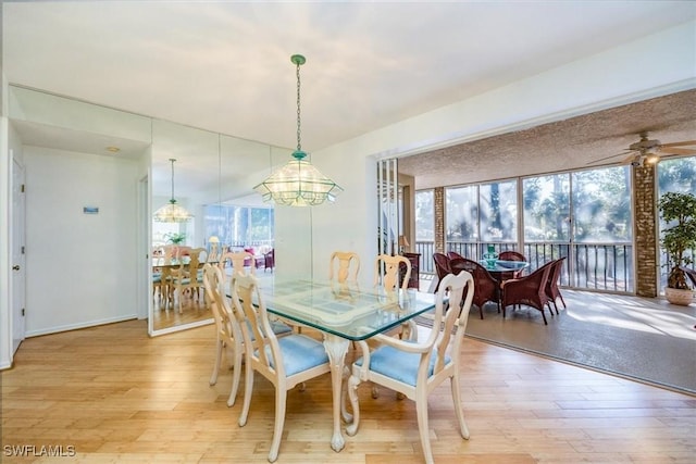 dining space featuring light hardwood / wood-style floors and ceiling fan