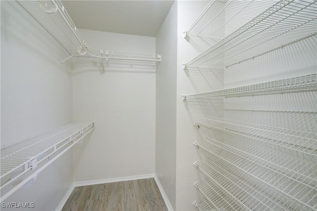 walk in closet with wood-type flooring