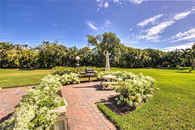 view of home's community with a patio area and a yard