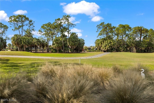 view of property's community with a yard