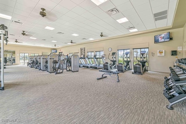 gym featuring carpet flooring, a drop ceiling, and ceiling fan