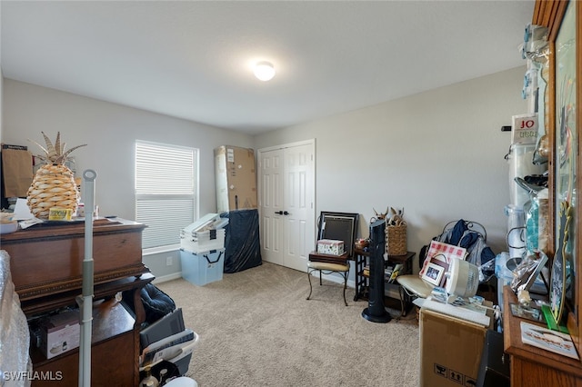 office with light colored carpet