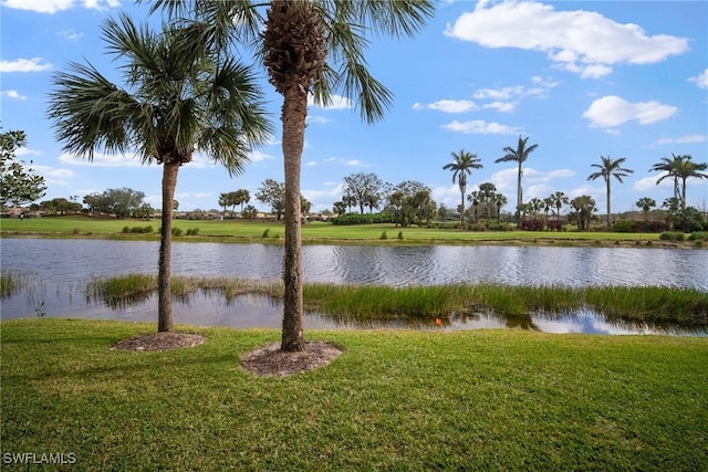 view of water feature