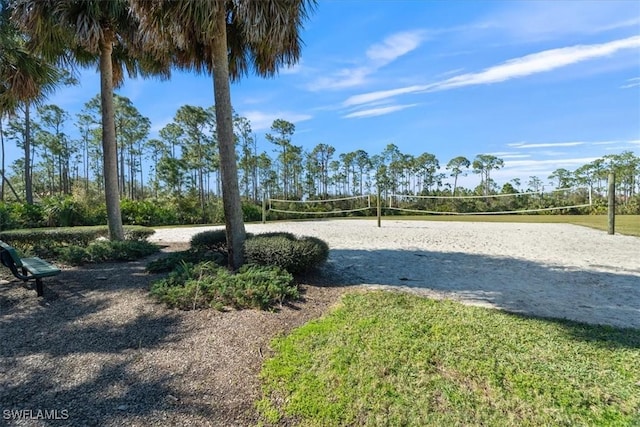 view of community with volleyball court