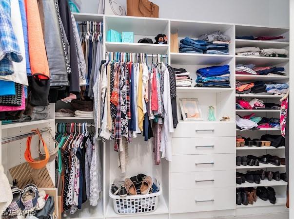 view of walk in closet