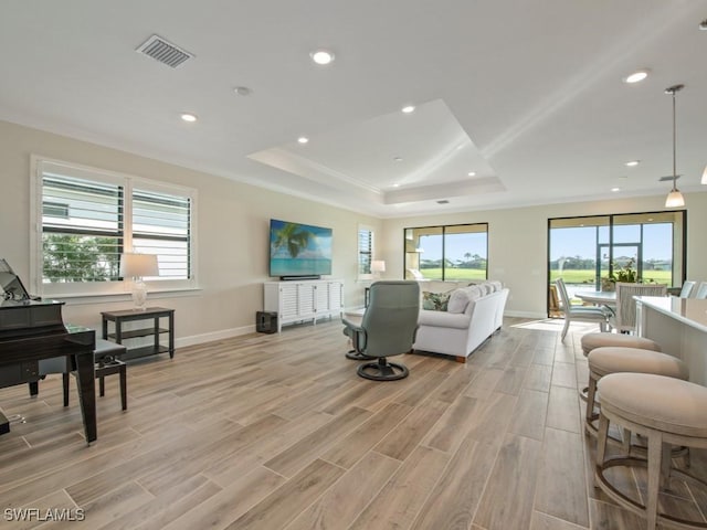 living room with crown molding and a tray ceiling