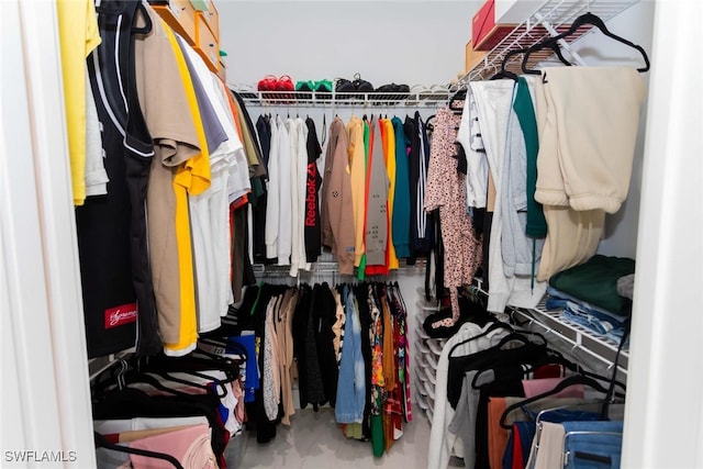 view of spacious closet