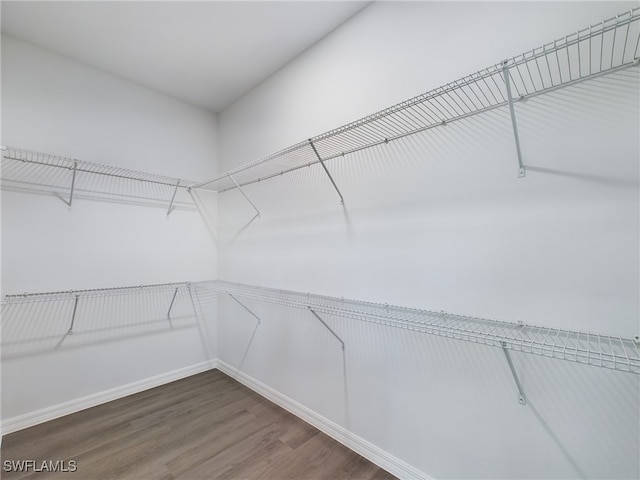 walk in closet featuring wood-type flooring