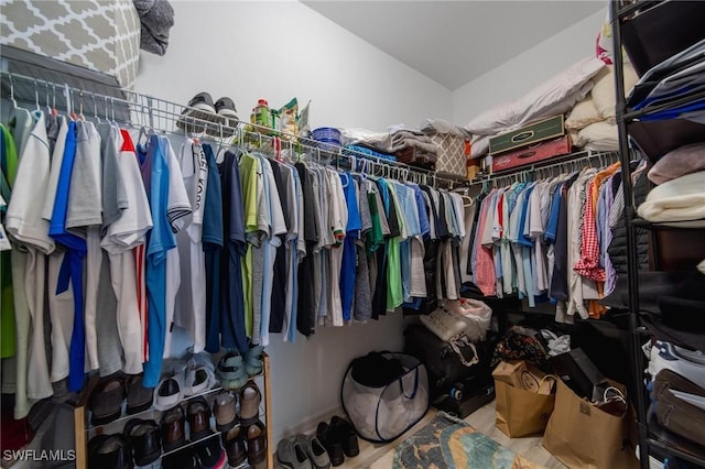 view of spacious closet