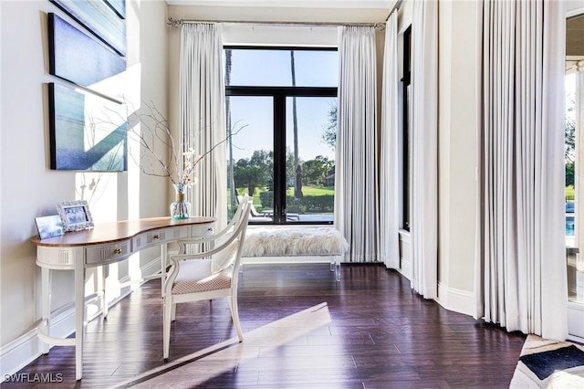 interior space with dark wood-type flooring