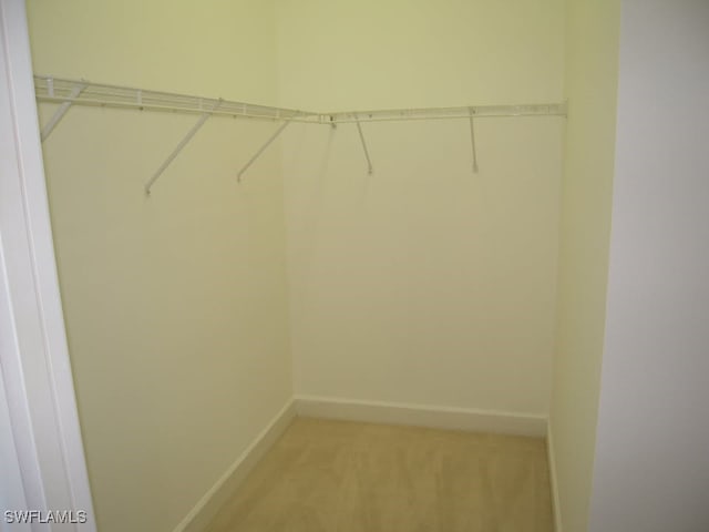 walk in closet featuring carpet flooring