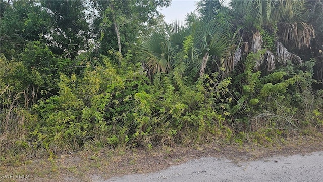 17039 Granville Ave, Port Charlotte FL, 33948 land for sale