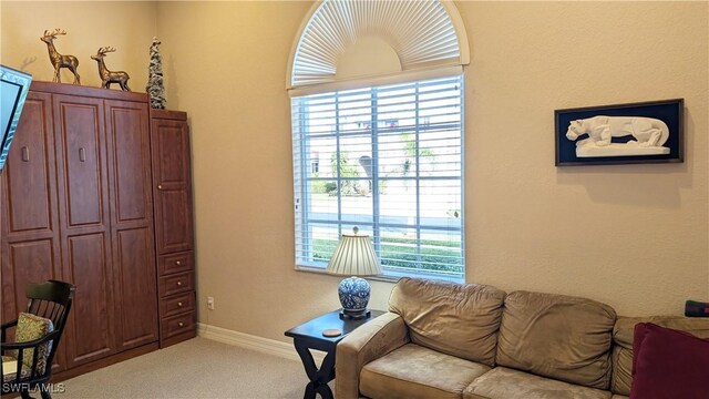 carpeted living room featuring a wealth of natural light