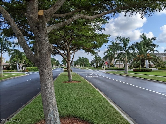 view of road