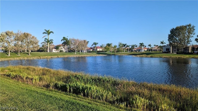 view of water feature