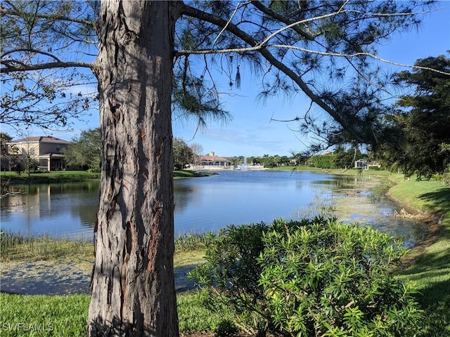 water view