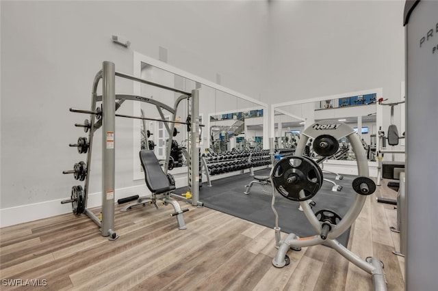 exercise room featuring wood-type flooring