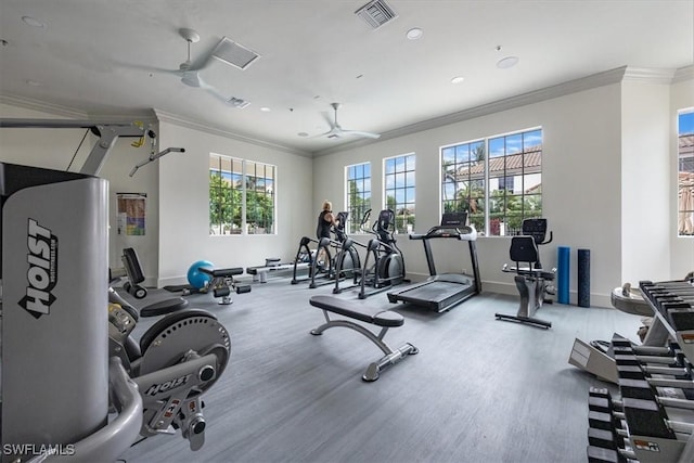 workout area featuring crown molding, ceiling fan, and a healthy amount of sunlight