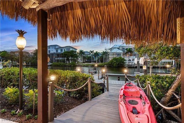 dock area with a water view