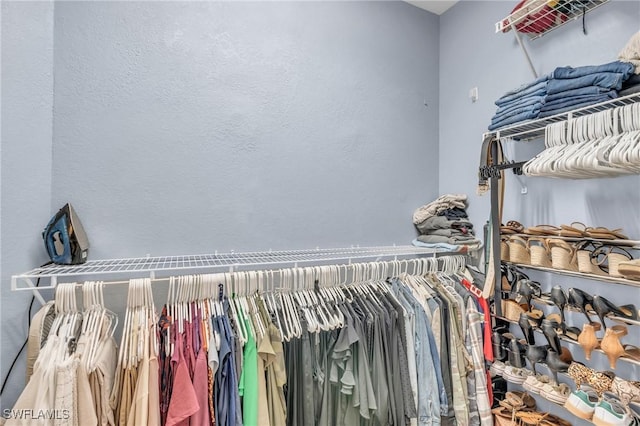 view of spacious closet