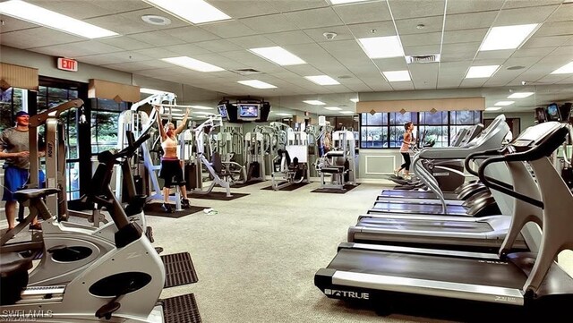 gym featuring a paneled ceiling and carpet floors