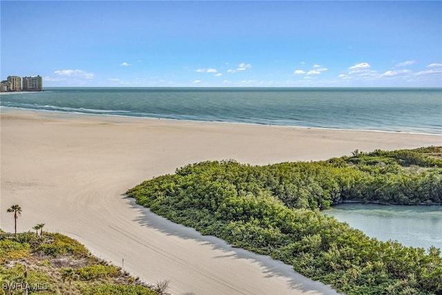 view of water feature featuring a view of the beach