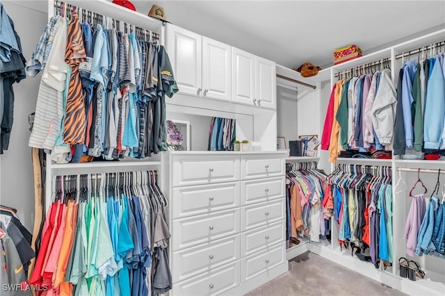 walk in closet with light carpet