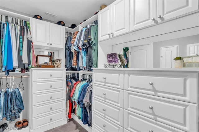 spacious closet featuring light carpet