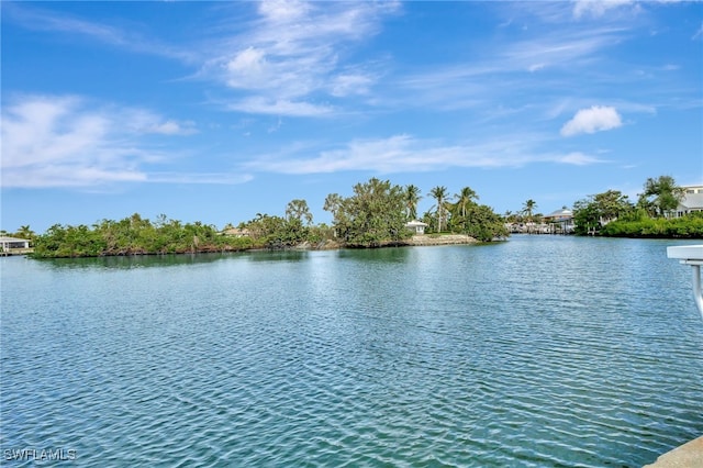 property view of water