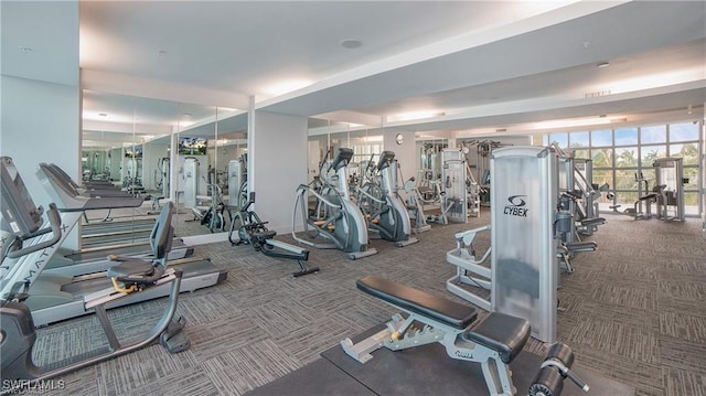 exercise room with a wall of windows and carpet floors