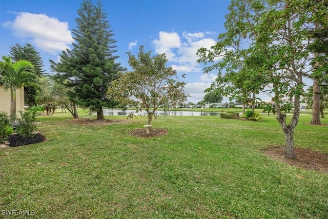 view of yard featuring a water view