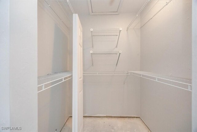 view of walk in closet