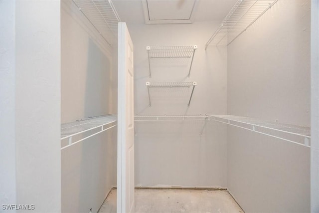 view of spacious closet