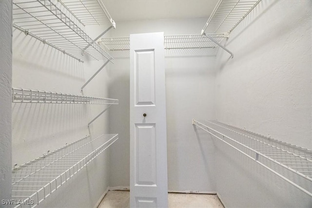 view of spacious closet