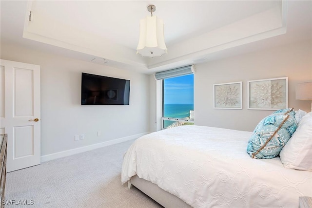 carpeted bedroom with a tray ceiling