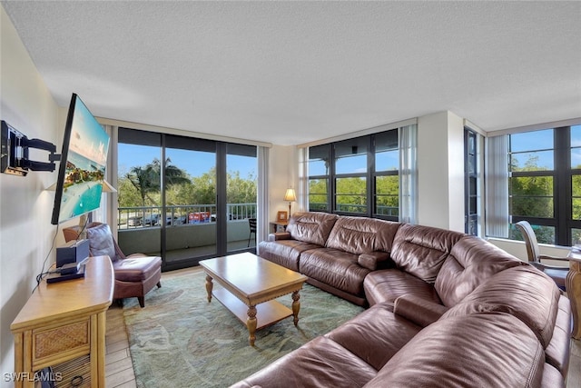 living room featuring hardwood / wood-style floors and a textured ceiling