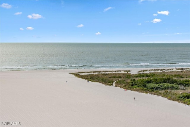 property view of water featuring a beach view