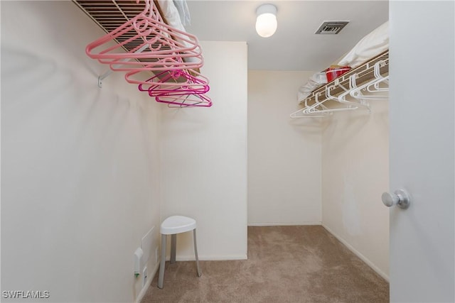 spacious closet featuring carpet floors