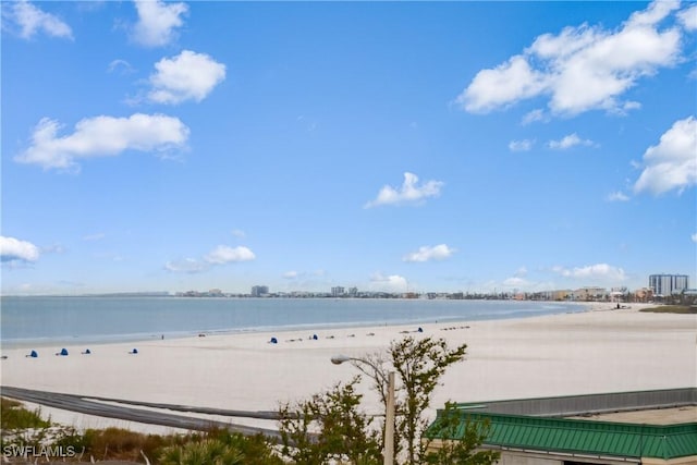 view of water feature featuring a view of the beach