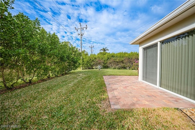 view of yard featuring a patio area