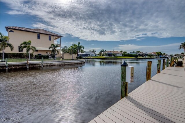 dock area with a water view