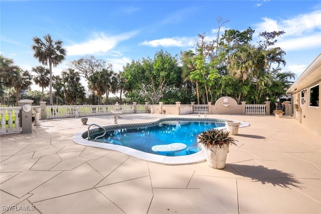 view of pool with a patio