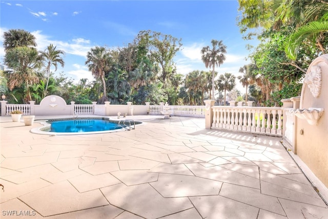 view of swimming pool with a patio area