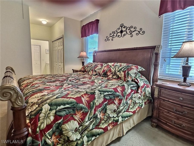 carpeted bedroom with a closet and multiple windows