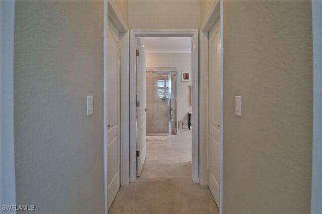 hall featuring light colored carpet and crown molding