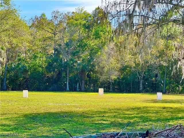 view of community with a lawn