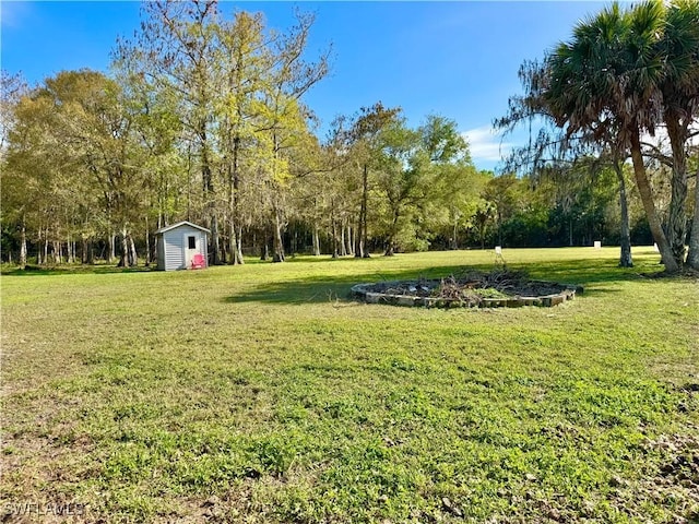 view of yard featuring a storage unit