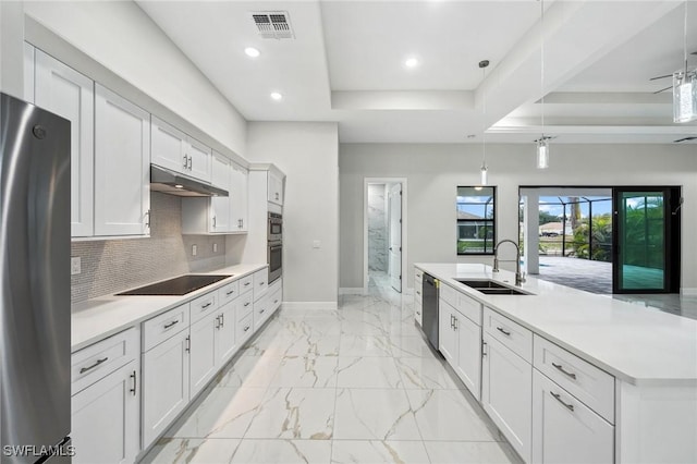 kitchen featuring white cabinetry, a tray ceiling, sink, tasteful backsplash, and appliances with stainless steel finishes