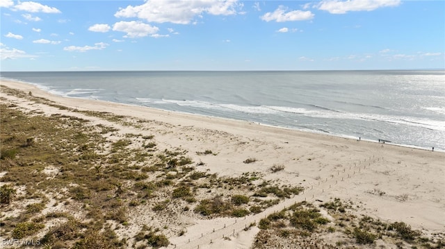 property view of water with a beach view