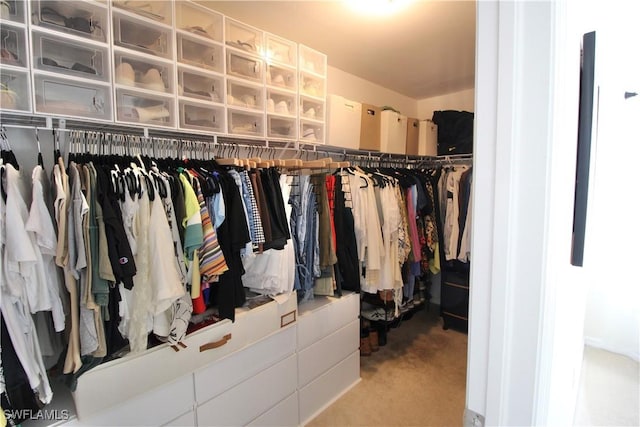 spacious closet with carpet flooring